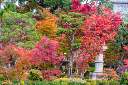 Eikando temple gardens in autumn, Kyoto, Japan