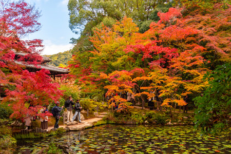 Kyoto, Japan - 24 November 2024: Autumn foliage in gardens of Nanzen-ji temple