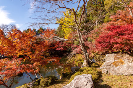 Daigo-ji Sambo-in Teien garden in autumn, Kyoto, Japan