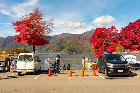 Fujikawaguchiko, Japan - 17 November 2024: Autumn momiji season at lake Kawaguchikoの写真素材