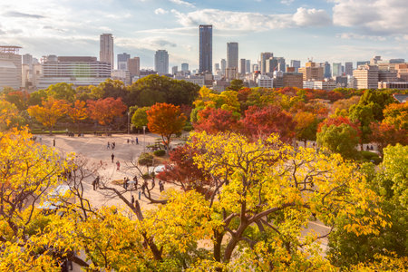Osaka castle gardens in autumn, Japanの写真素材