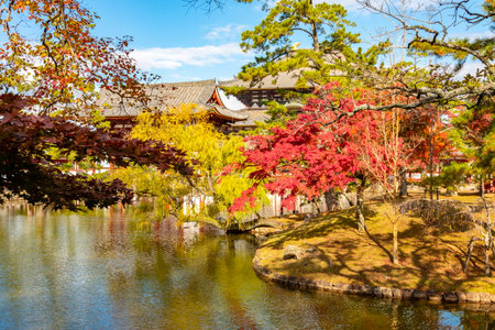 Autumn foliage in Nara park, Japanの写真素材