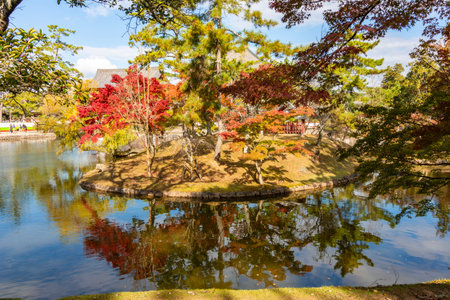 Autumn foliage in Nara park, Japanの写真素材