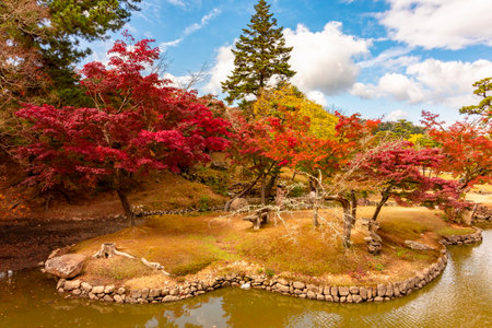 Autumn foliage in Nara park, Japanの写真素材