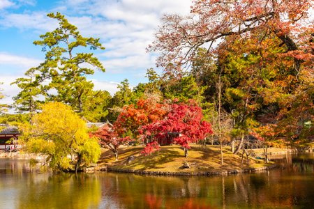 Autumn foliage in Nara park, Japanの写真素材