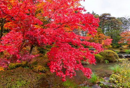 Autumn foliage at Nikko Toshogu shrine, Japanの写真素材