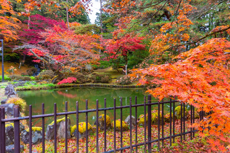 Autumn foliage at Nikko Toshogu shrine, Japanの写真素材