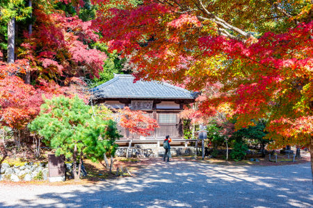 Jingo-Ji temple gardens on Takao mountain in autumn, Kyoto, Japanの写真素材