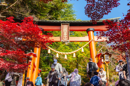 Arakura, Japan - 17 November 2024: Torii gate leading to Chureito Pagoda in autumnの写真素材