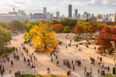 Osaka, Japan - 21 November 2024: Square at Osaka castle in autumn