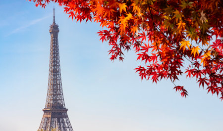 Eiffel Tower in autumn, Paris, Franceの写真素材