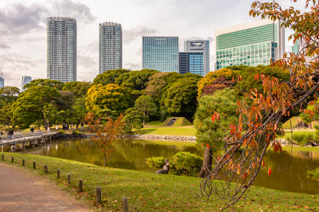Hamarikyu gardens with Shiodome skyscrapers at background in autumn, Tokyo, Japan