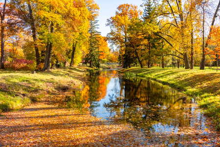 Autumn foliage in Alexander park, Tsarskoe Selo (Pushkin), St. Petersburg, Russiaの写真素材
