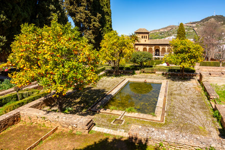 Ladies tower of Alhambra palace and gardens of Partal, Granada, Spainの写真素材