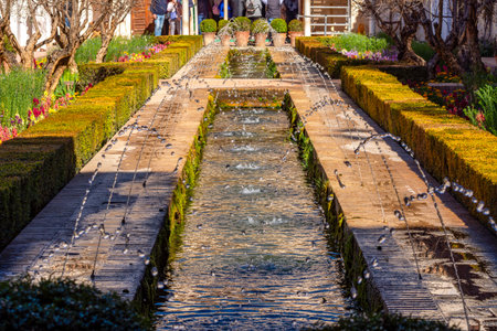 Fountains in Patio de la Acequia (Water channel) of Generalife gardens at Alhambra, Granada, Spainの写真素材