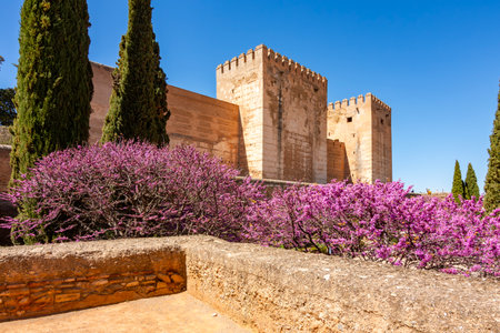 Walls and towers of Alcazaba fortress in Alhambra, Granada, Spainの写真素材
