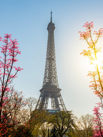 Eiffel Tower in spring, Paris, France
