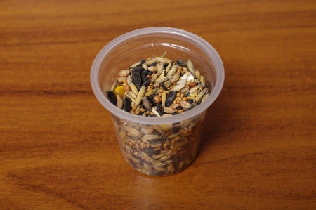 food for birdsの写真素材