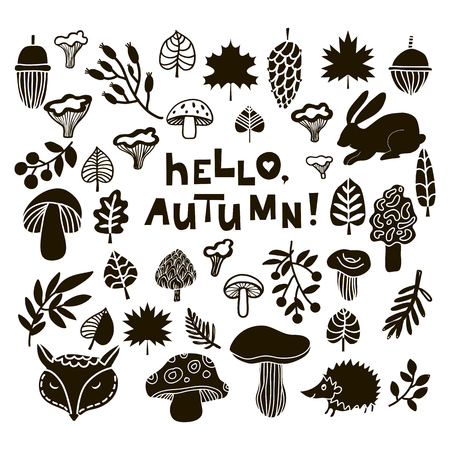 Big vector set hand drawn elements for autumn design. Isolated. Cartoon style.Vector illustration.のイラスト素材