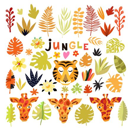 Colorful  fantasy  jungle   set e leaves  in cartoon style  on white background. Giraffe, lion, tiger. Summer  tropical design. Greeting Floral  template postcard, banner, poster. Vector cute illustration.のイラスト素材