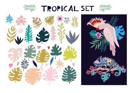 Big collection tropical elements. Colorful exotic Birds, leaves, flowers, plants and branches art print. Vector isolated elements on the white background.のイラスト素材