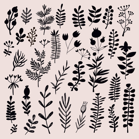 Big set of flowers and herbs. Vector collection leaf. Hand Drawn vintage floral elements.Perfect for wedding invitations and birthday cards.Universal templates collection for trendy design.のイラスト素材