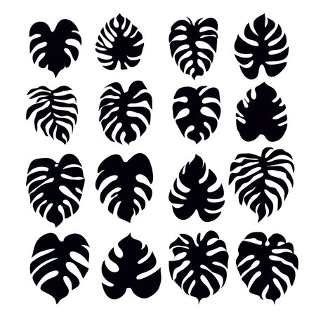 Beautiful big set with tropical palm leaves, exotic flowers. Cute vector elements in flat cartoon style.のイラスト素材