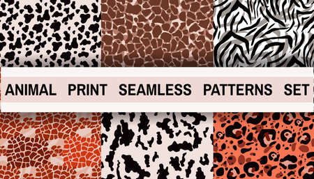 Set of jaguar, tiger, guepard, leopard abstract beautiful seamless patterns in different colors Modern safari animal fashion print skin design for textile, fabric, wallpaper Vector illustrationのイラスト素材
