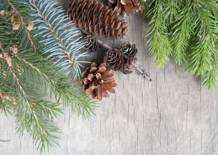 Beautiful winter nature art photo with coniferous plants, pine cones, conifer on a vintage rustic wooden background Christmas decoration concept Happy New Year, Merry Christmas templateの写真素材