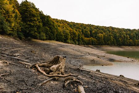 Low water level in the Irabia reservoir, with a stump on the left surrounded by a forest and clouds that threaten rainの写真素材