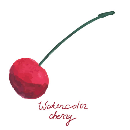 Watercolor cherry in vectorのイラスト素材