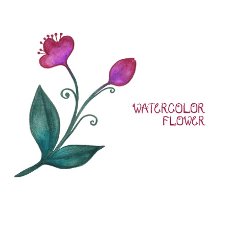 Watercoclor decorative flowerのイラスト素材