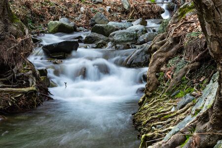 Beautiful flowing river in the forest. Big and small rocks in the water. Long exposure shot.の写真素材