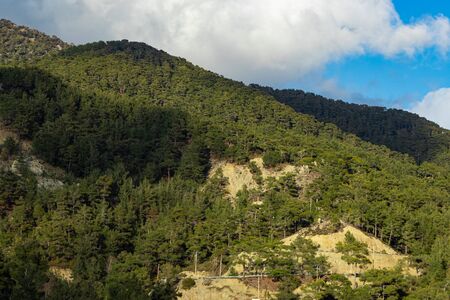 Forest view from a hill in Cyprus with clouds
