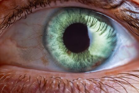 Macro close up view image of human eye
