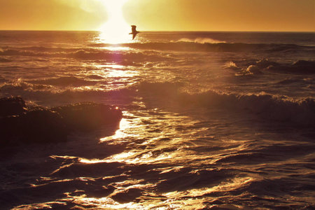 Sunset in San Diegoの写真素材