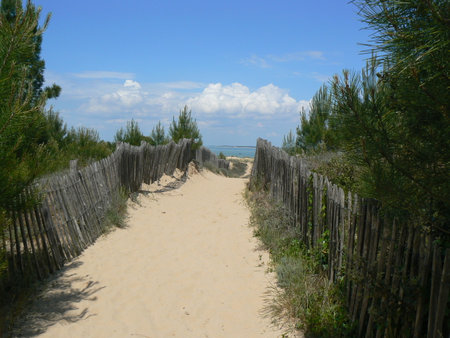 Path to the beach in the dunes of island of OlÃ©ron, Franceの写真素材