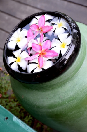 pot of Flower on waterの写真素材