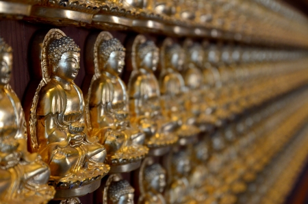 Many small Buddha statue on the wall at chinese temple, Thailandの写真素材