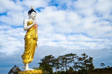 Stand Buddha Statue in Thailandの写真素材