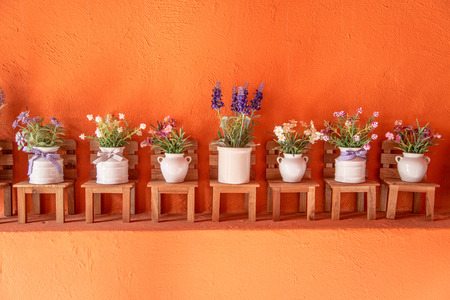 flower in potの写真素材