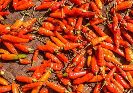 red hot chili pepperの写真素材