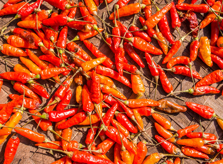 red hot chili pepperの写真素材