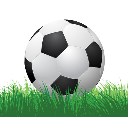 soccer ball on green grass  vector illustration EPS10のイラスト素材