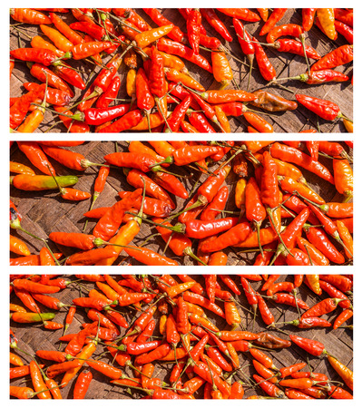 red hot chili pepperの写真素材