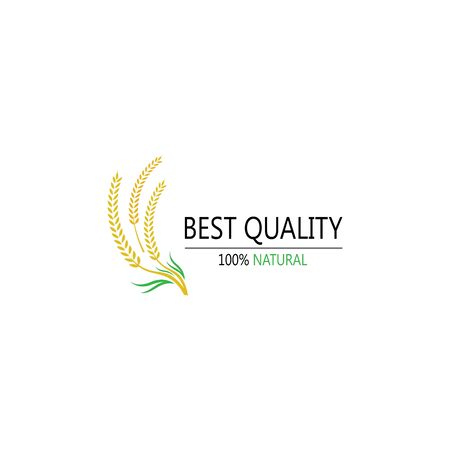 Agriculture wheat Logo Template vector icon designのイラスト素材