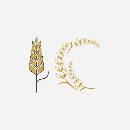 Agriculture wheat Logo Template vector icon designのイラスト素材