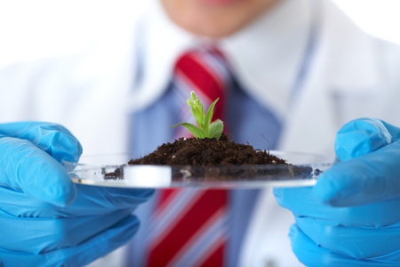 lab assistant holds small flat dish with soil and plant, wears blue gloves, isolated on whiteの写真素材