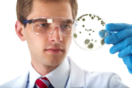 young male laboratory assistant check petri dish with agar and bacterium on it, isolated on white