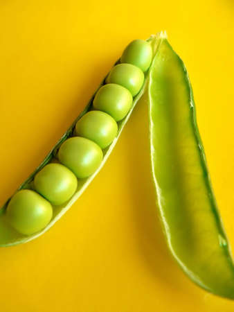 green peaの写真素材